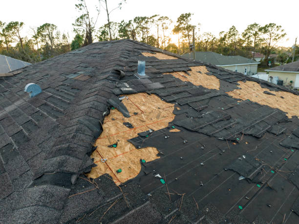 Best Roof Installation  in Newk, AR